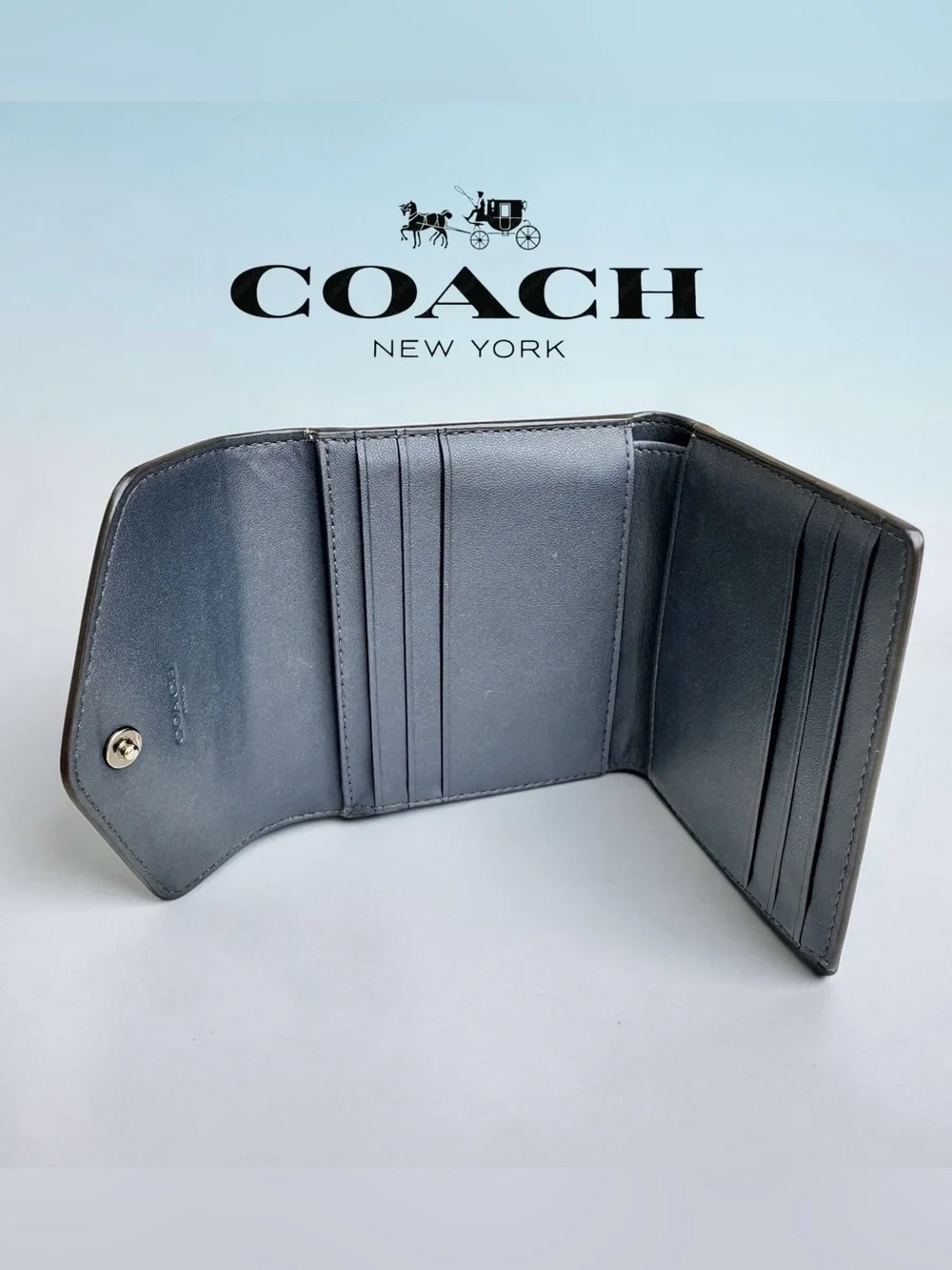 COACH Wyn Small Wallet in Dove Grey and Sky Blue Multi Colorblock.